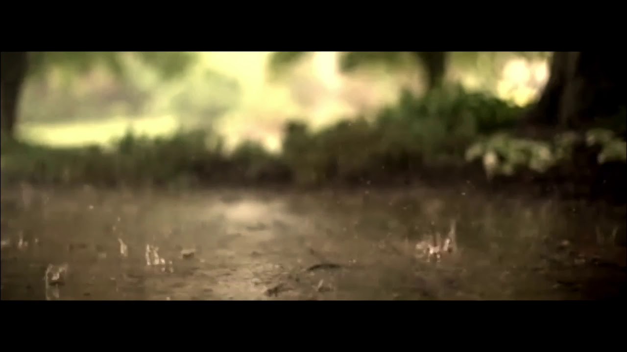 Comme la pluie ( Charles SINGER & J.P KEMPF)