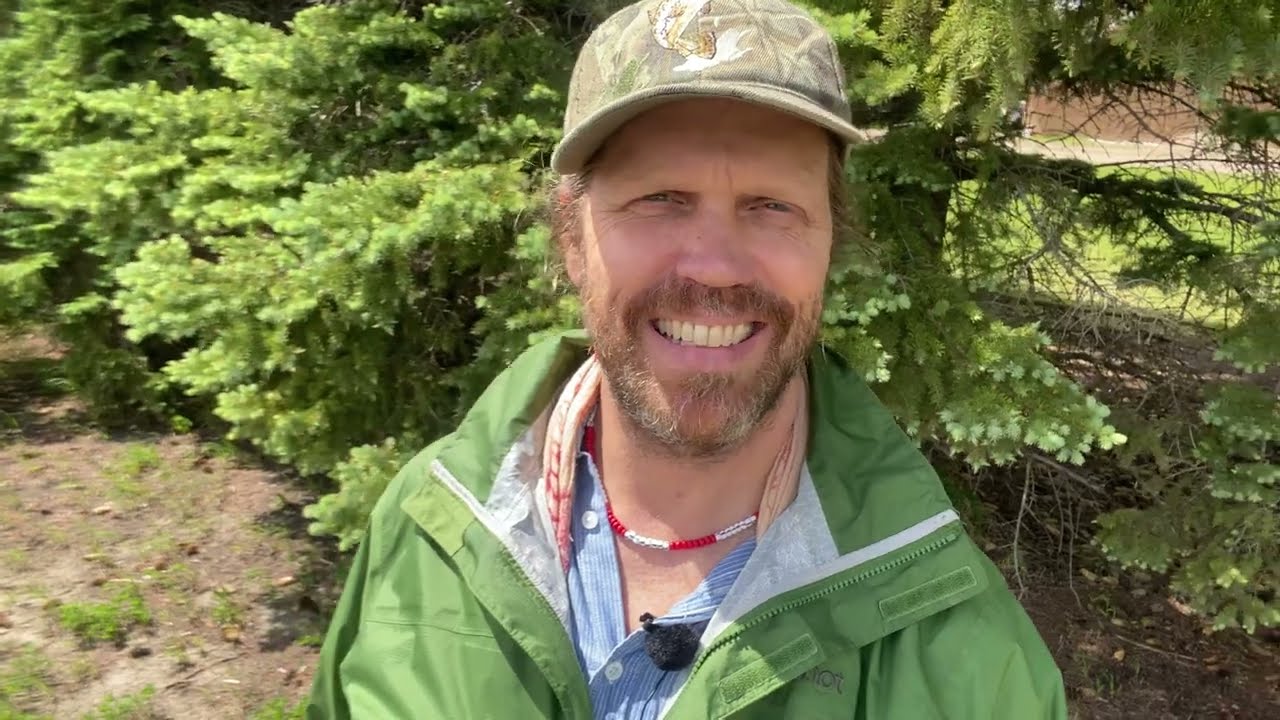 The Call of the Wild, Listening to Nature