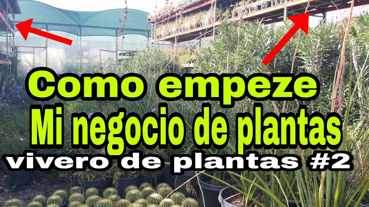 Como empeze mi negocio de plantas.vivero plant nursery #2