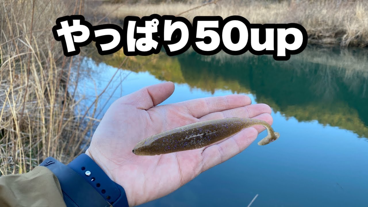 このルアーの勢いが止まりません！釣れる巻き方や使い方も解説します。