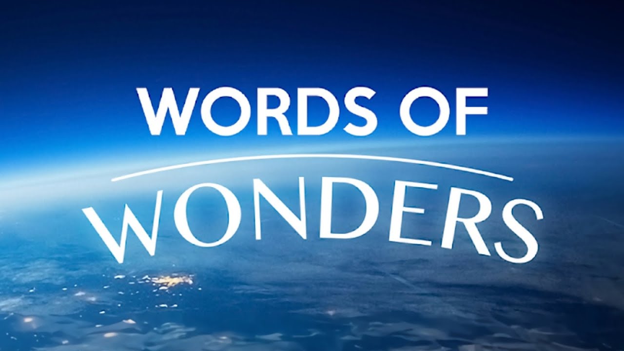 KELİME BULMA OYUNUNDA EN İYİSİ OLDUM / Words Of Wonders Türkçe Oynanış 2025