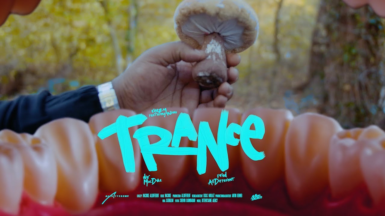 reezy feat. Nimo - TRANCE (OFFICIAL VIDEO) prod by reezy & PZY