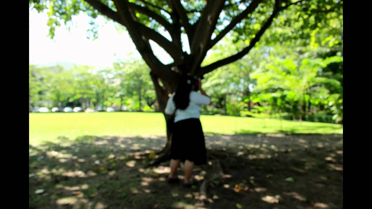 smallTree
