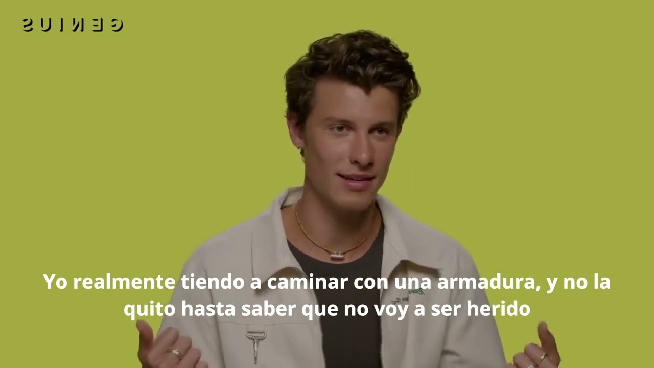 Shawn Mendes 