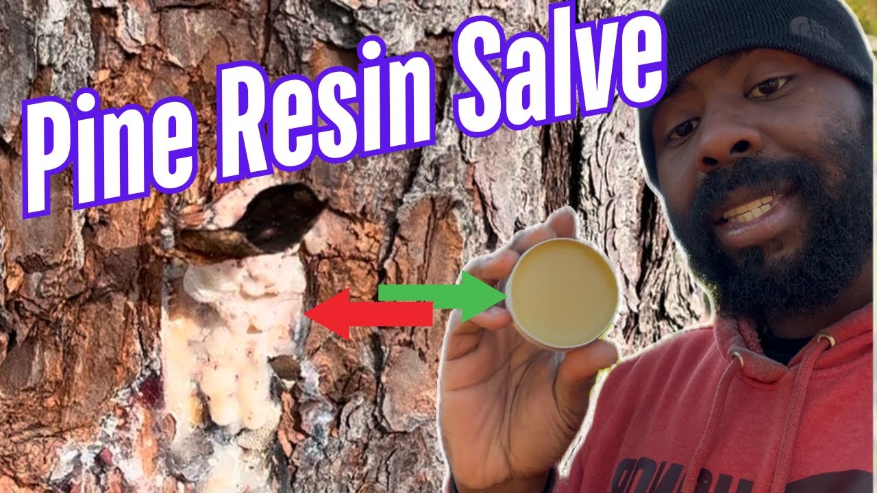 How To Make Pine Resin Salve