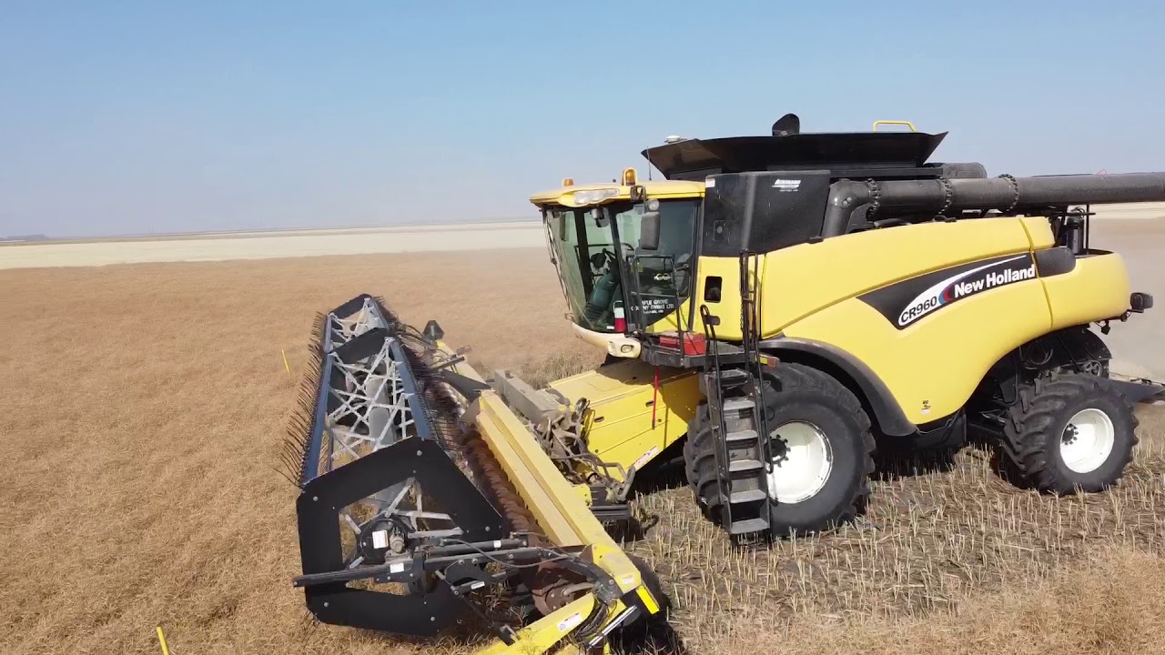 Canola harvest with New Holland CR960 and 36’ Honeybee header.