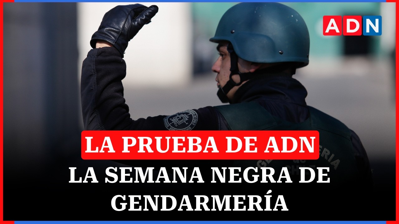 La semana negra de Gendarmería: reos liberados y violencia en los penales |🔴EN VIVO LA PRUEBA DE ADN