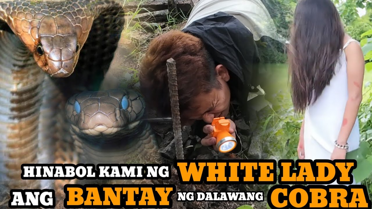 WHITE LADY ANG BANTAY MAG ASAWANG COBRA