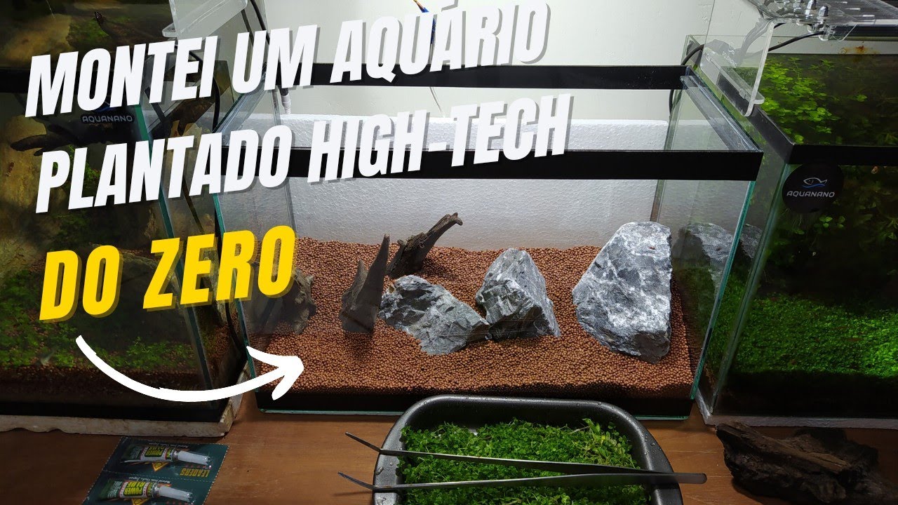 Montei um aqu&aacute;rio plantado High-tech do zero com planta carpete 