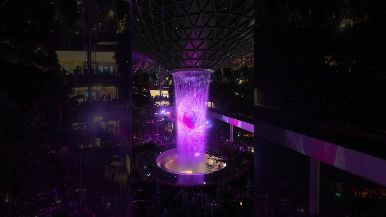 Jewel Rainforest  - Level 4 View