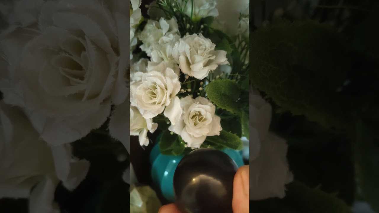 Shungite #love #astrology #crystals #healing #radiation #, protection #gemstone #shungite