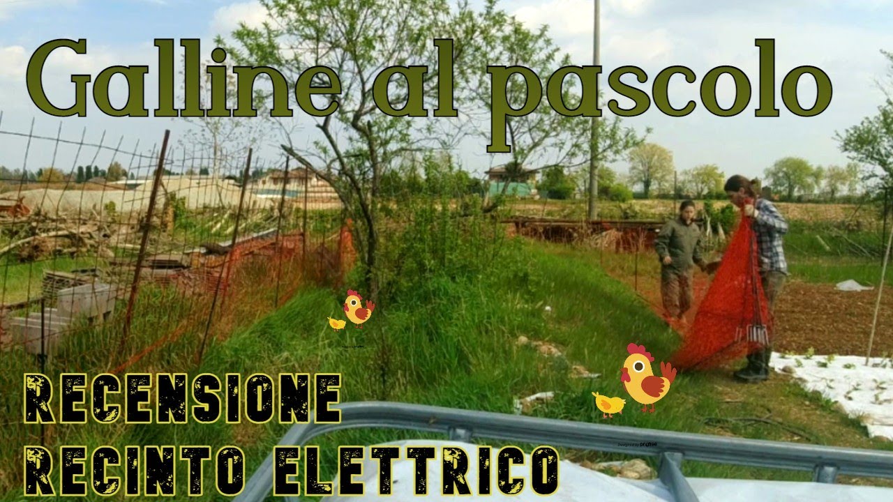 Recensione e unboxing recinto elettrico voss farming farmNet+ (RECINTO GALLINE )