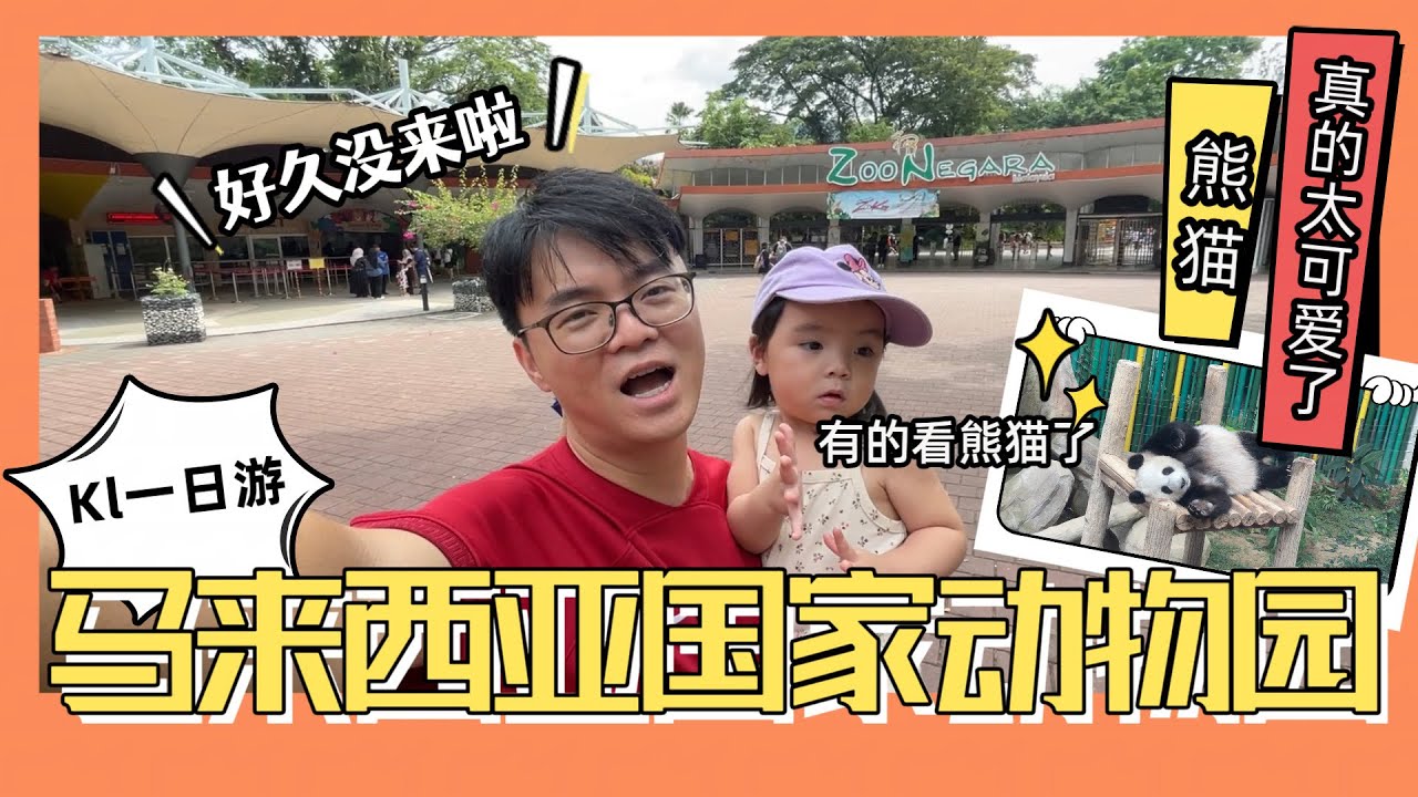 马来西亚国家动物园一日游 ！#熊猫 真的好可爱！