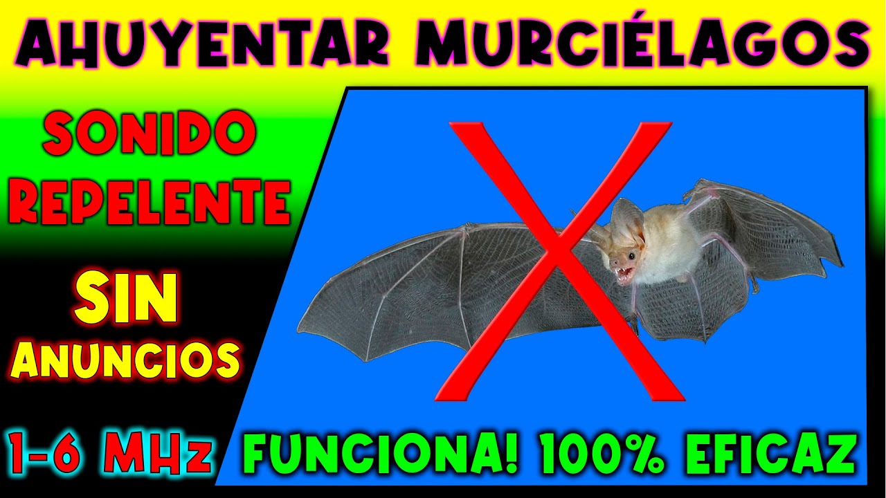 SONIDO PARA AHUYENTAR MURCIELAGOS 🚫🦇 REPELENTE DE MURCIELAGOS