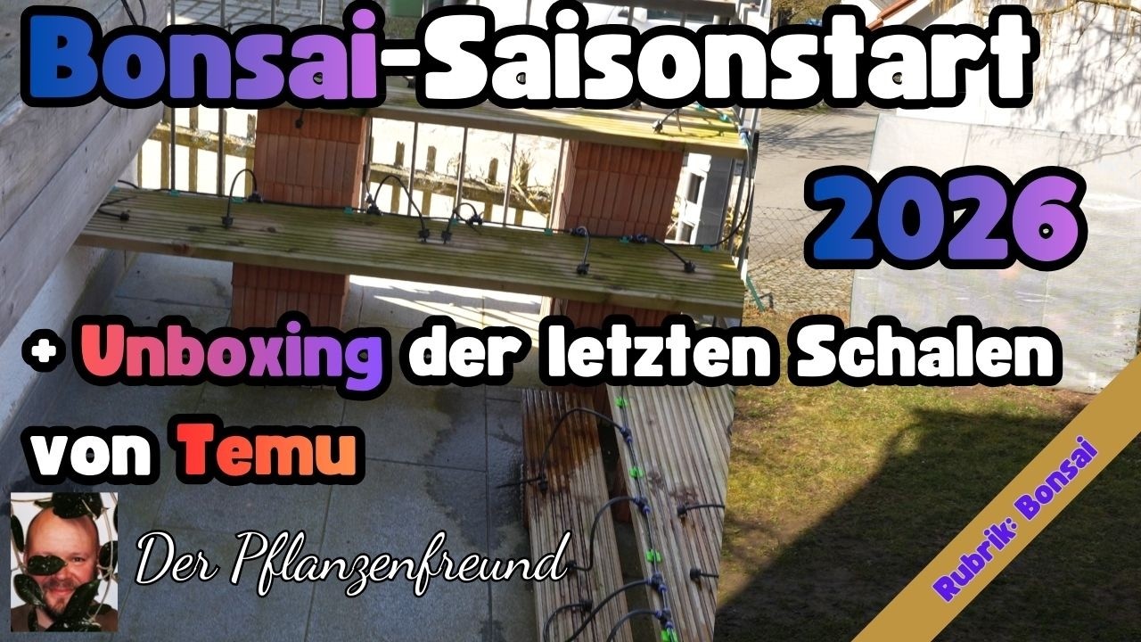 Bonsai 2026 - Es geht endlich wieder los