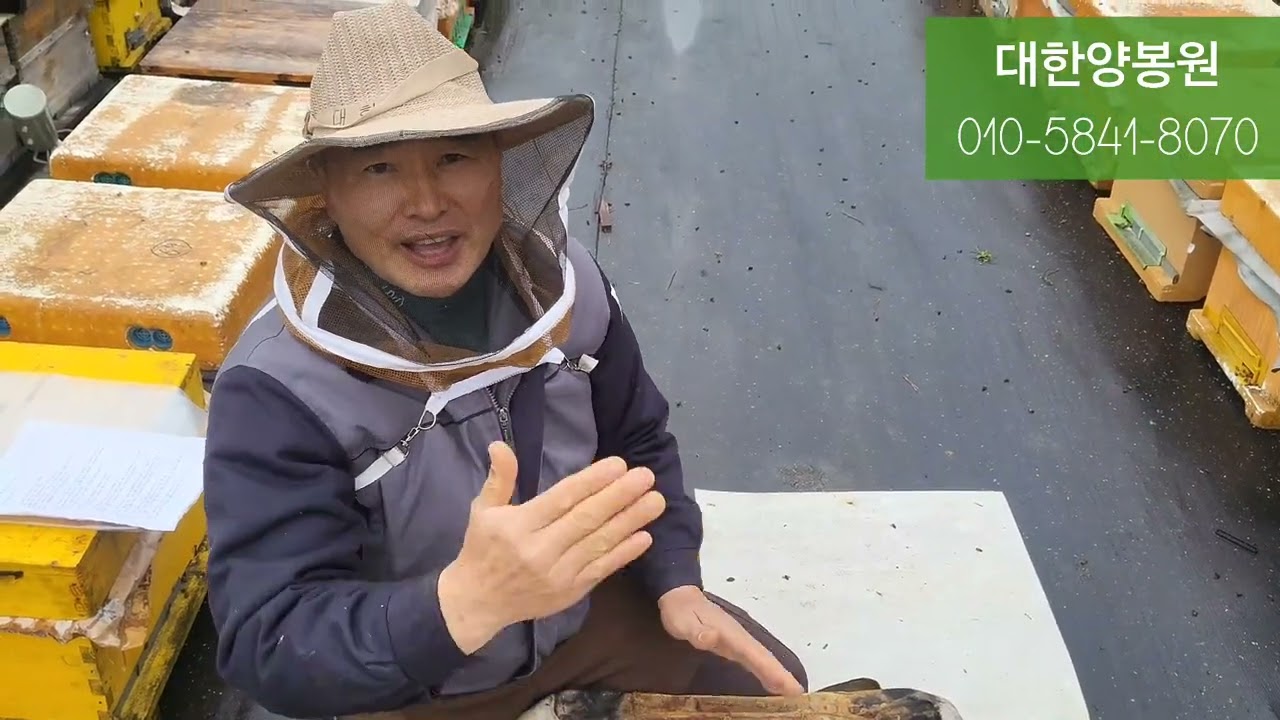 2024 ** 벌통 시세** 및 목적에맞게  좋은벌 고르기 -대한양봉원