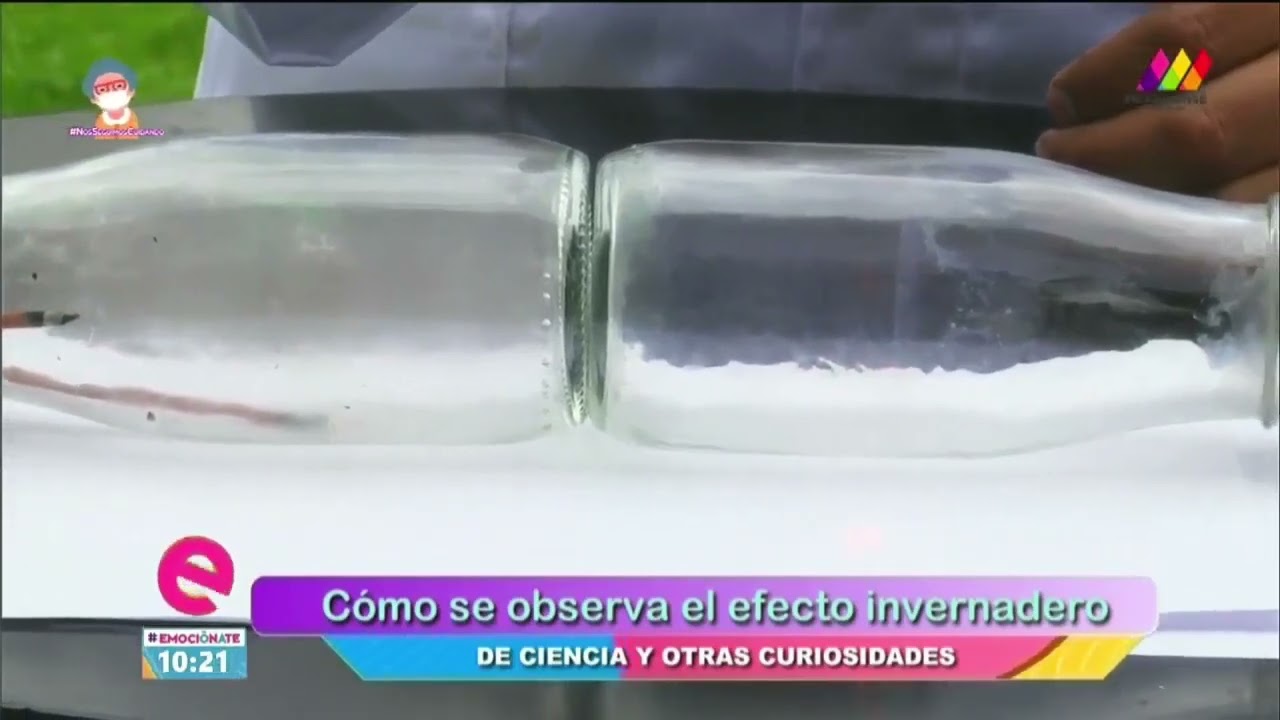 Cápsula: Experimento 