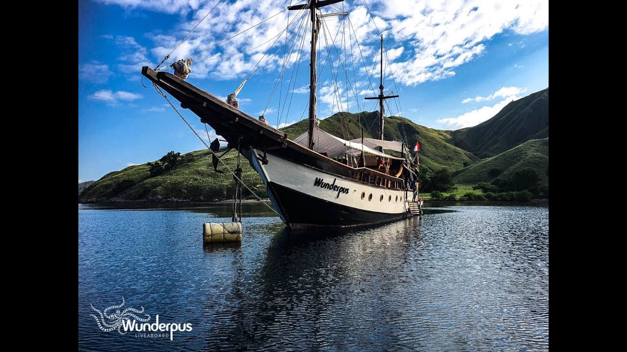We Are Wunderpus Liveaboard