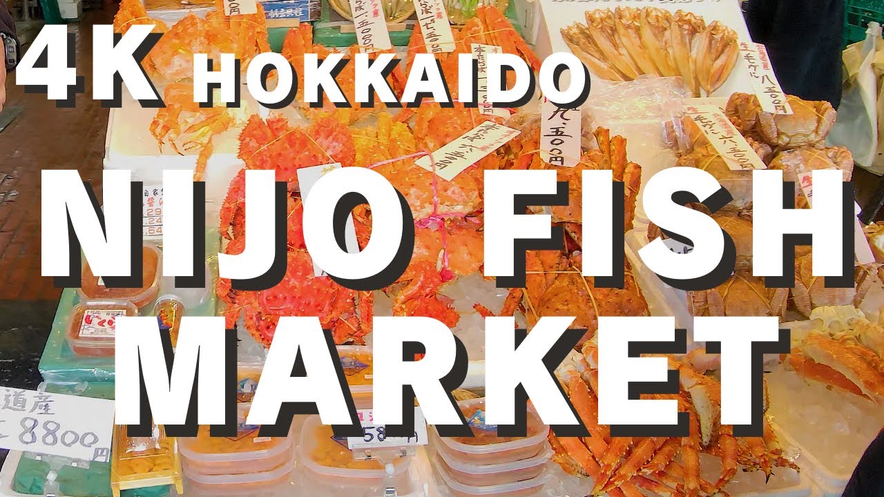 【4K Walking】HOKKAIDO Nijo Fish Market #sapporo #hokkaidotravel #japanesefood