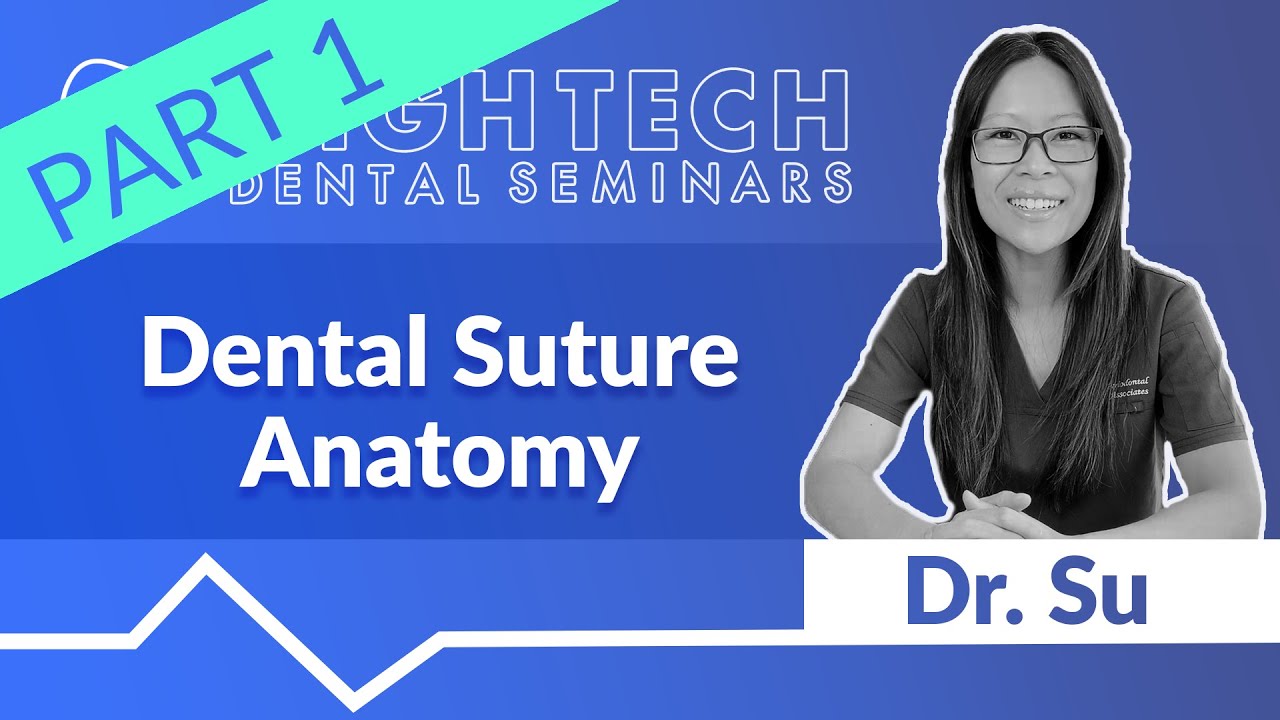 Dr. Su - Dental Suture Anatomy 1/3