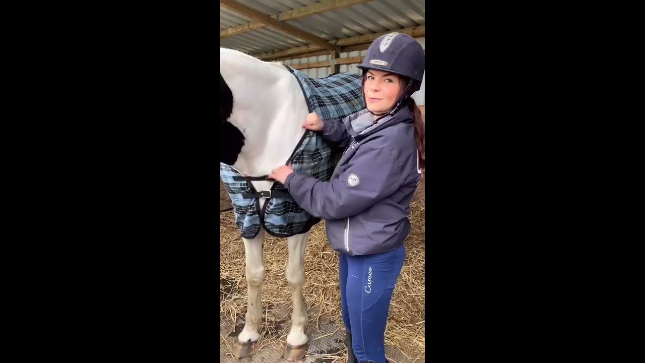 How to Fit a Stable Rug on Your Horse