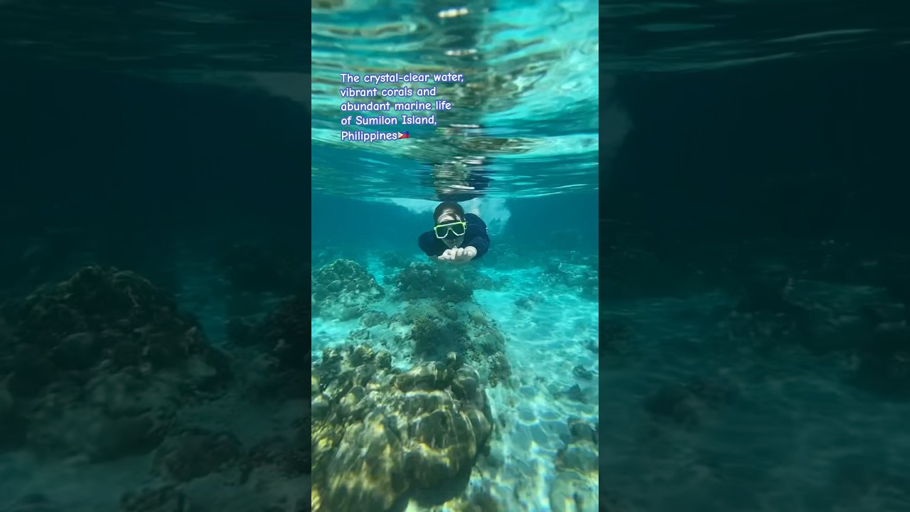 The rich underwater of Sumilon Island #travelphilippines #islandgetaway #paradisephilippines