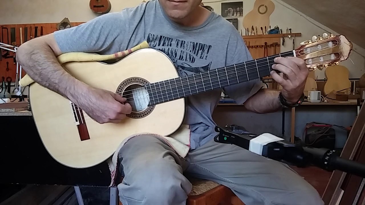 Guitarra de Cocobolo y Abeto para GSI