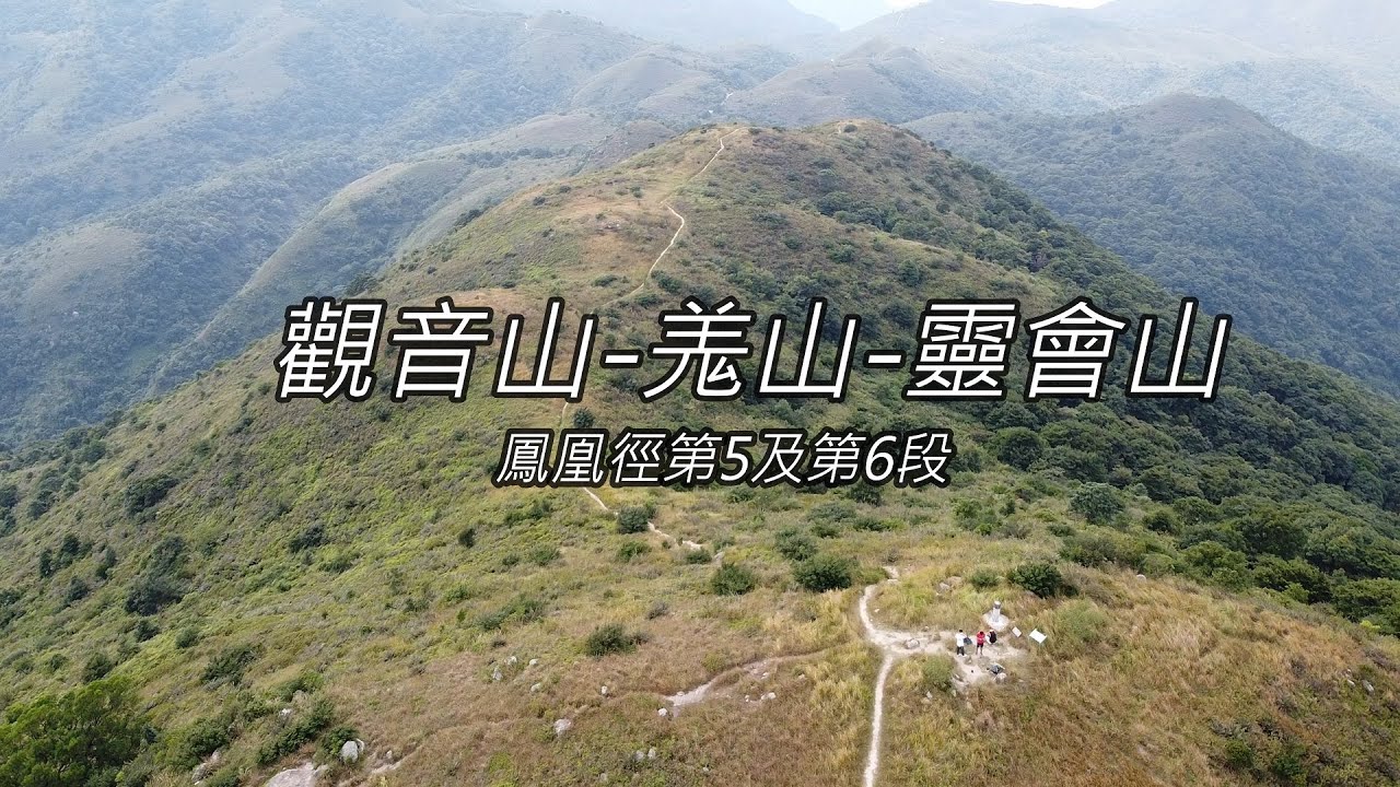 ( 香港郊遊 ) 深屈道 - 觀音山 - 羗山 - 靈會山 - 龍仔悟園 - 大澳 | 鳳凰徑第5段 | 鳳凰徑第6段 | 芒草 | 香港行山 | 大嶼山行山