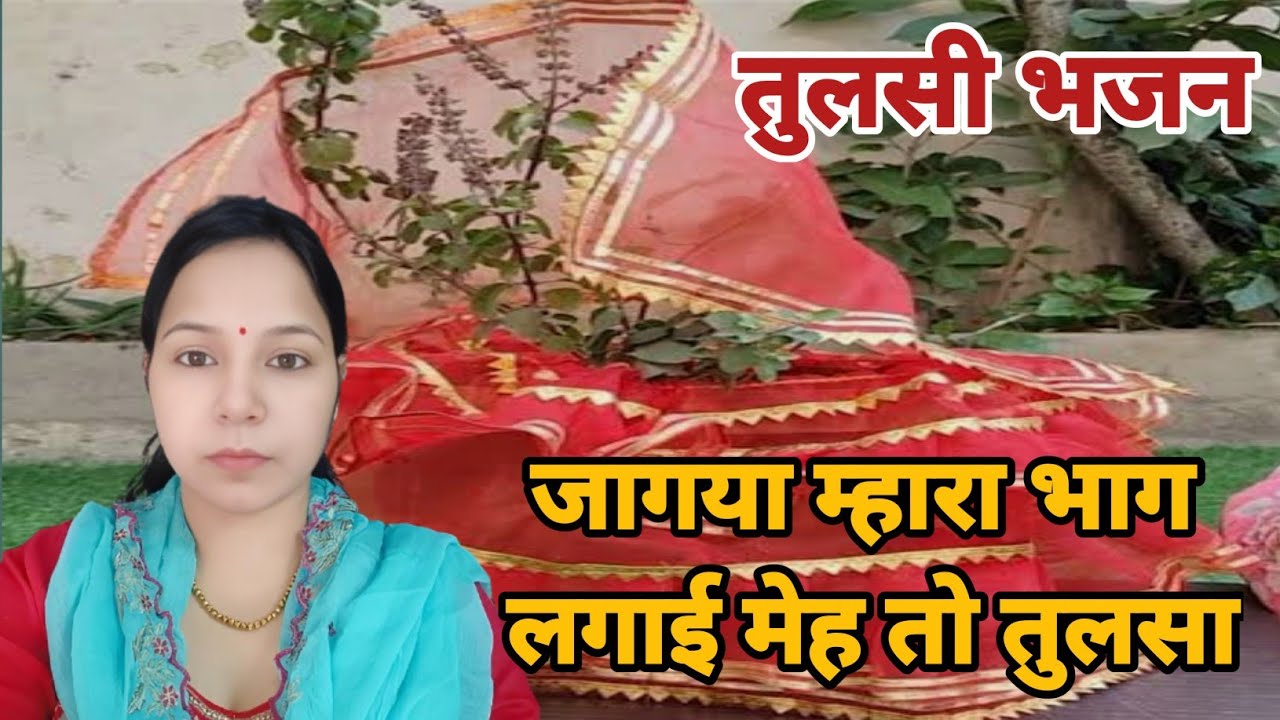 जागया म्हारा भाग लगाई मेह तो तुलसा आंगण मै तुलसा बाखल मै तुलसा || तुलसी भजन  #aapnivirast