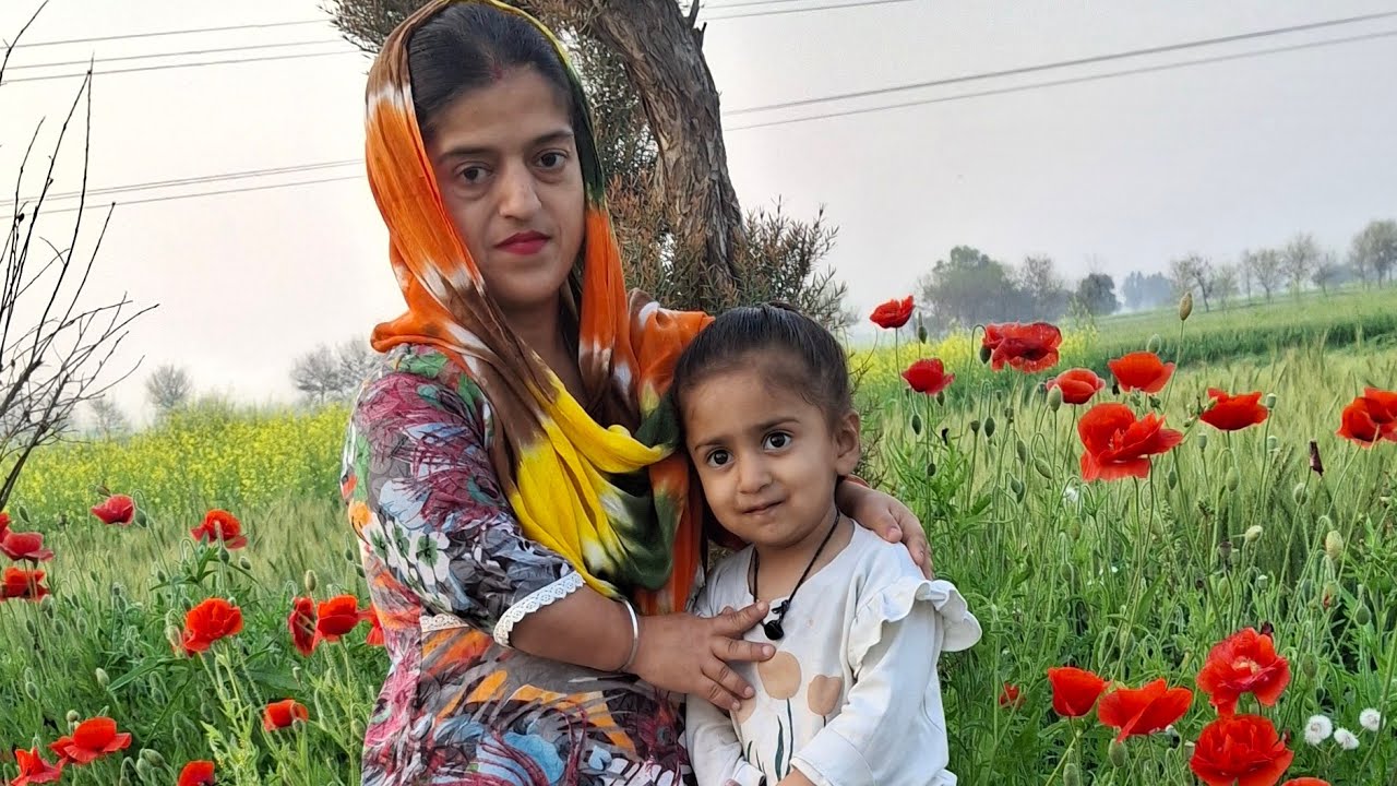 Noor ne bnai phli activity asi v dekh hoye  ਹੈਰਾਨ (Talent dekh k hosh udd ge