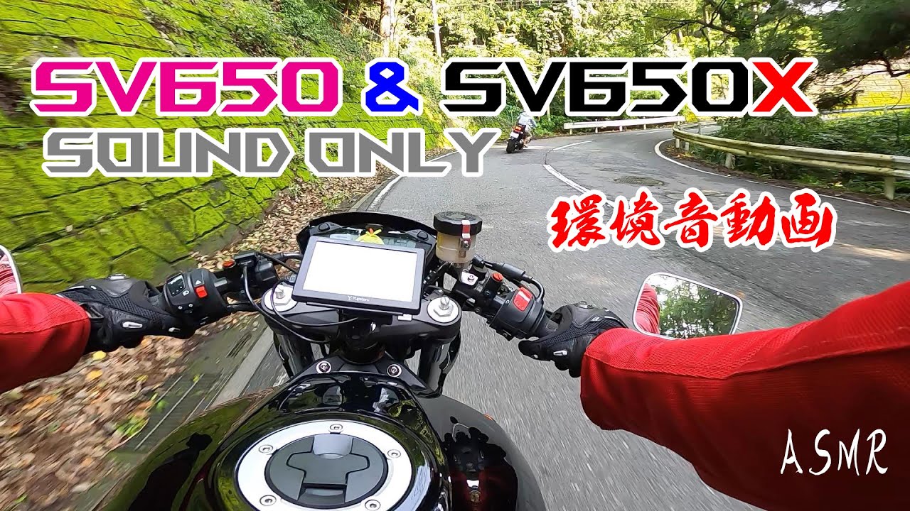 【SV650X】東秩父村～天空の楽校 SOUND ONLY ASMR RAW ONBOARD SUZUKI【SV650】