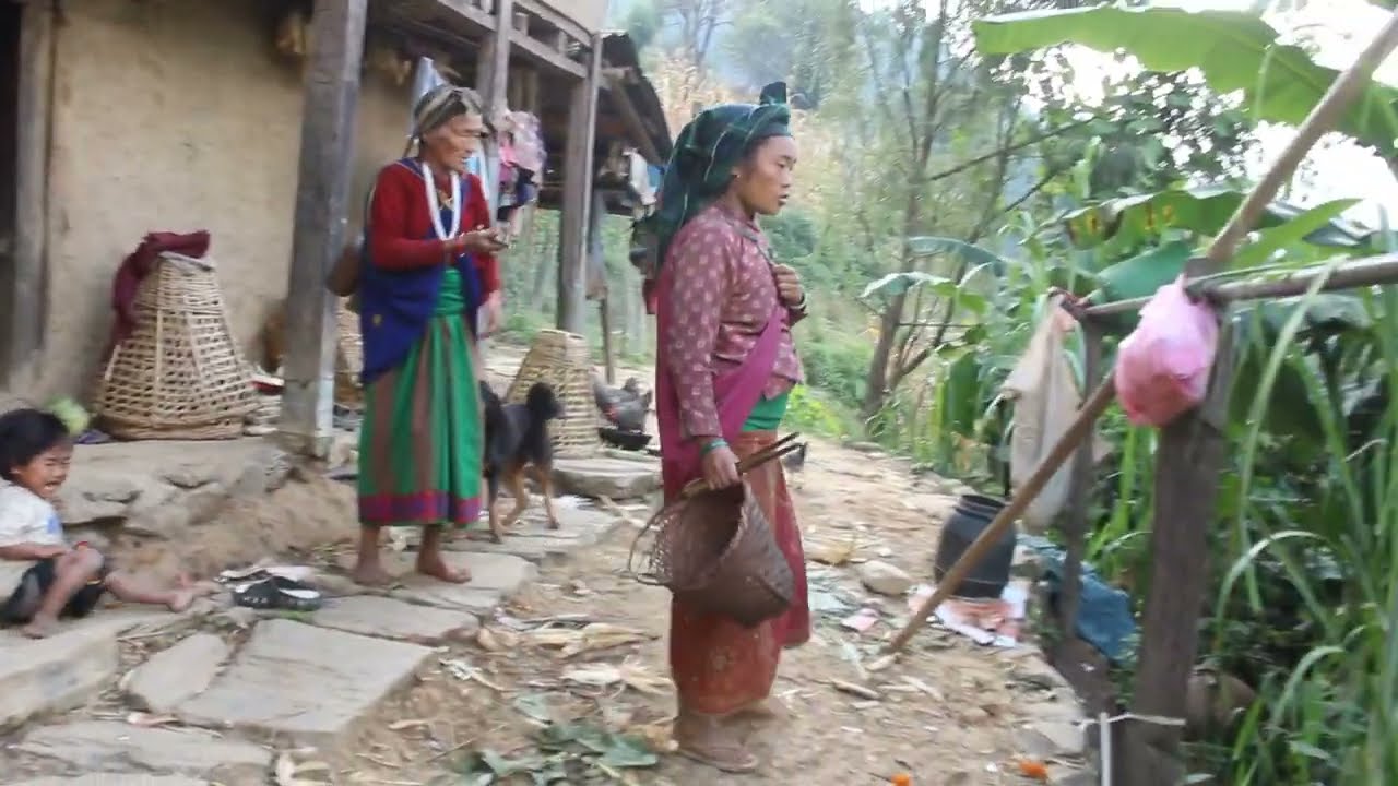 Myvillage official videos EP 1203 || Traditional home in village