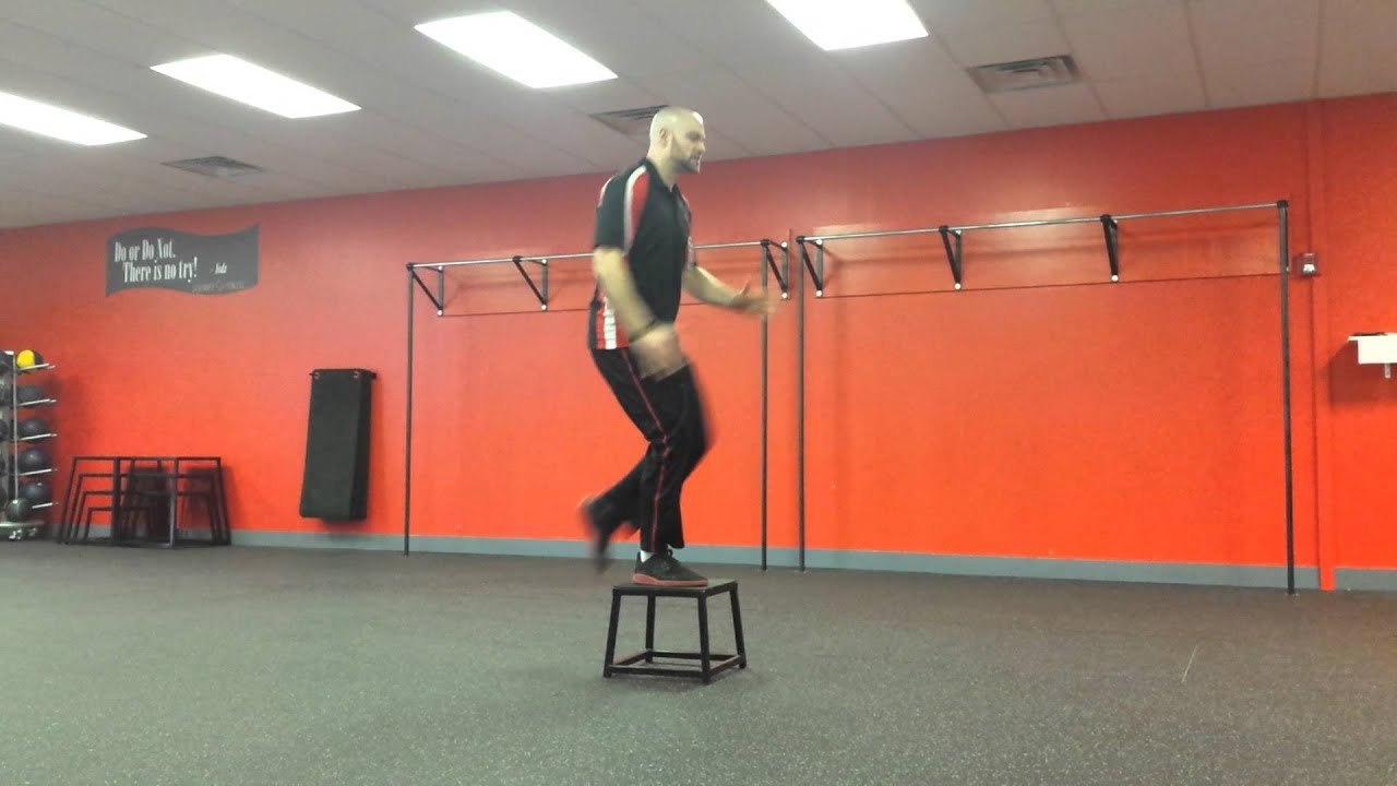 Plyo-Box: Step Ups with a Leg Raise
