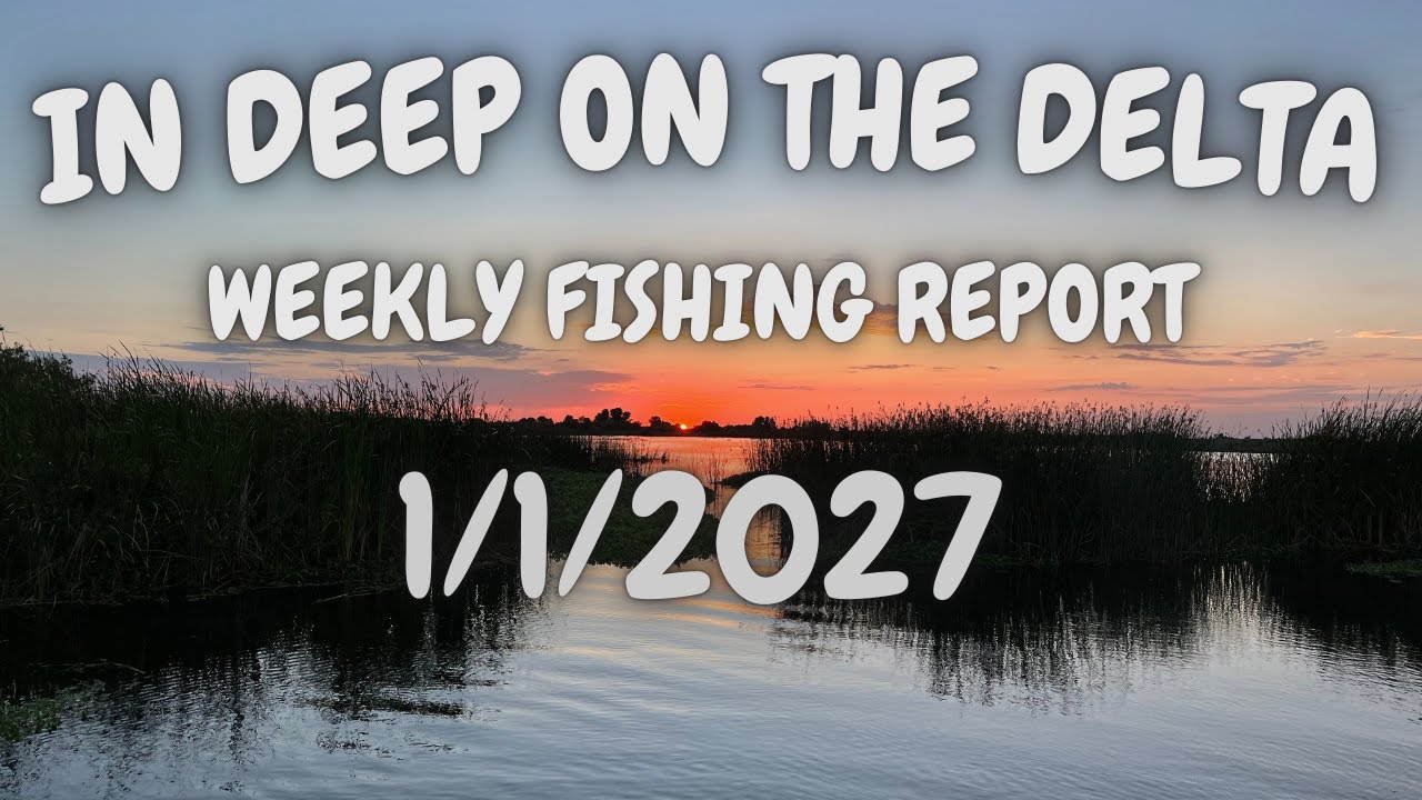 Еженедельный рыболовный отчет In Deep On The Delta за 1 января 2026 года.