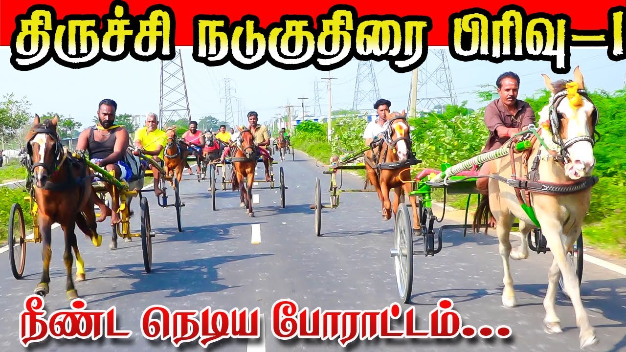 கும்பக்குடி நடுகுதிரை பிரிவு-1 04/01/2026 #trichy_hors_race  Ksk rekla race #krish_studio_kattumavad
