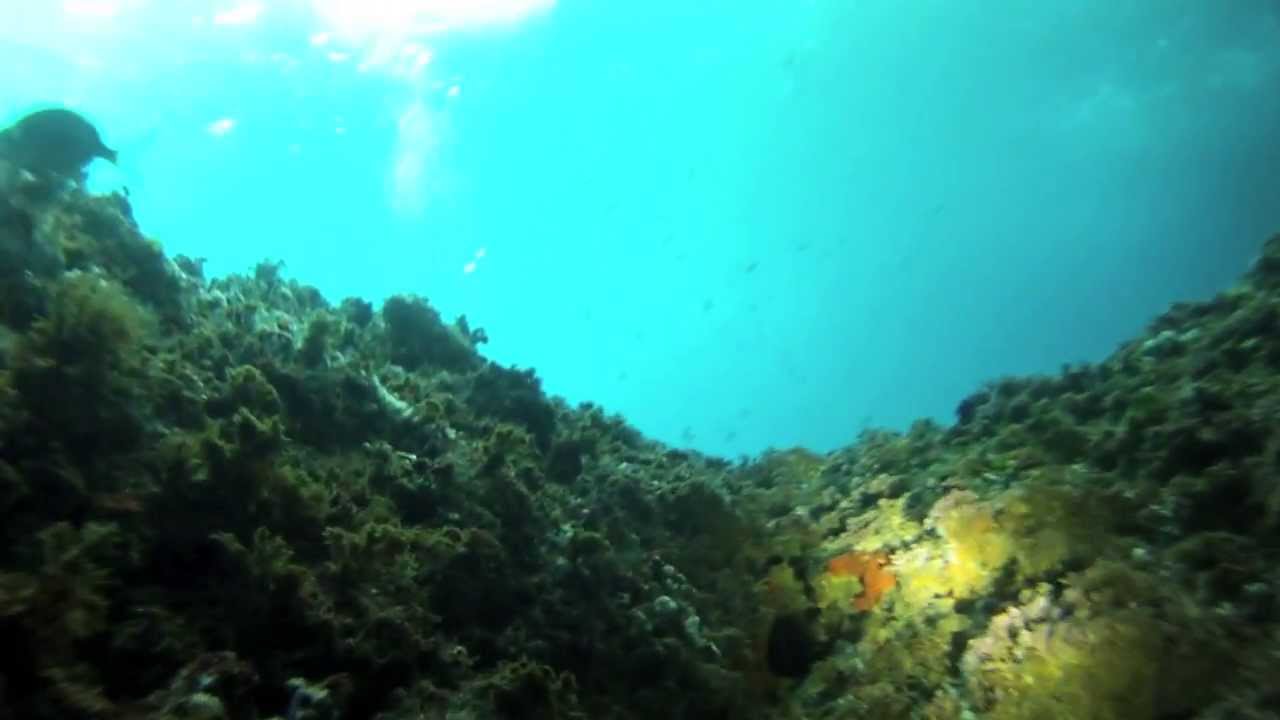 GoPro Buceo Altea Morro de Toix