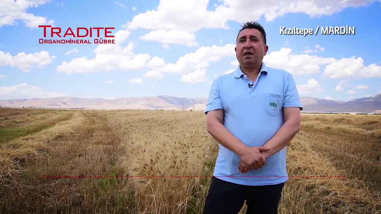 Tradite Organomineral G&uuml;bre ile İlk Hasat