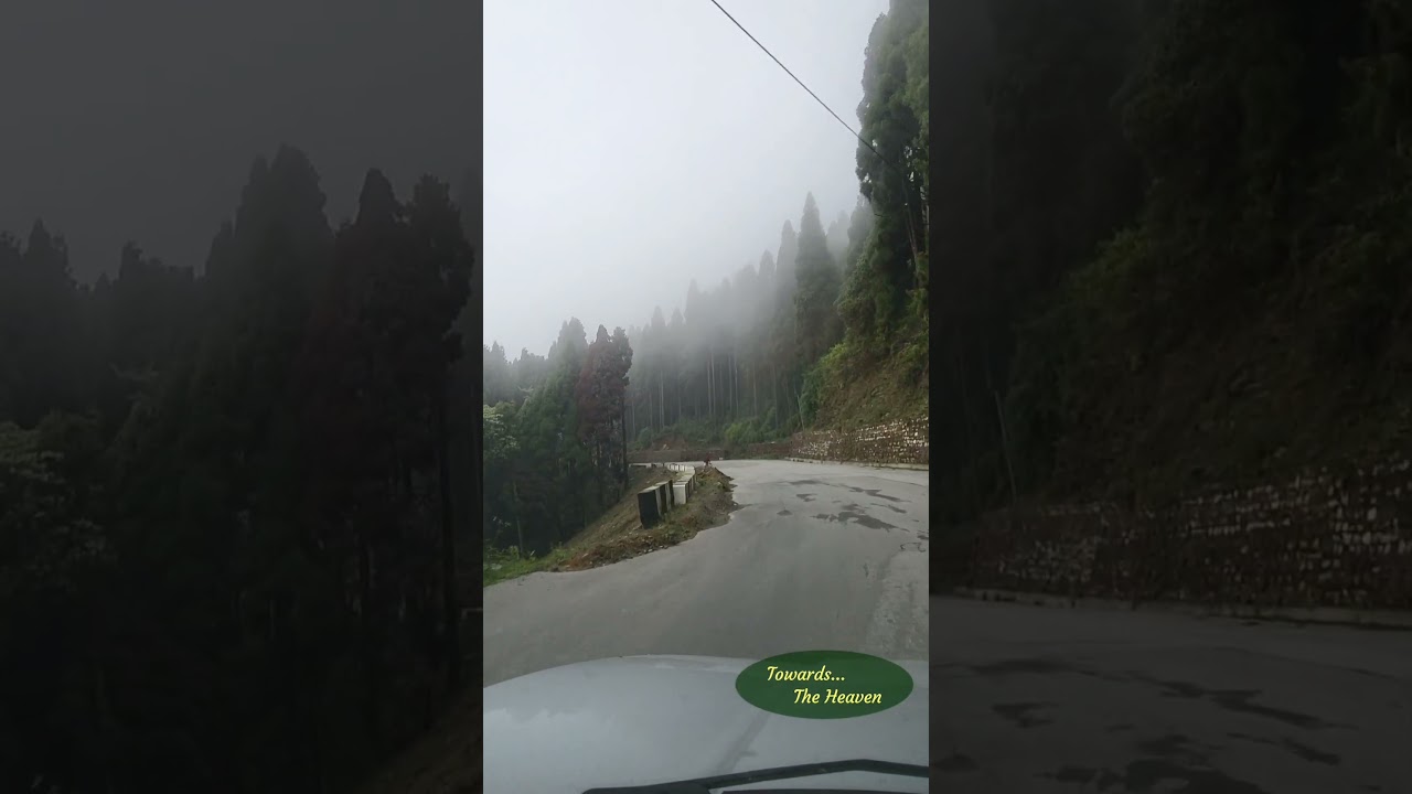 Lava Lolegaon | Saiyaara MP3 Song | #shortsfeed  #offbeatkalimpong