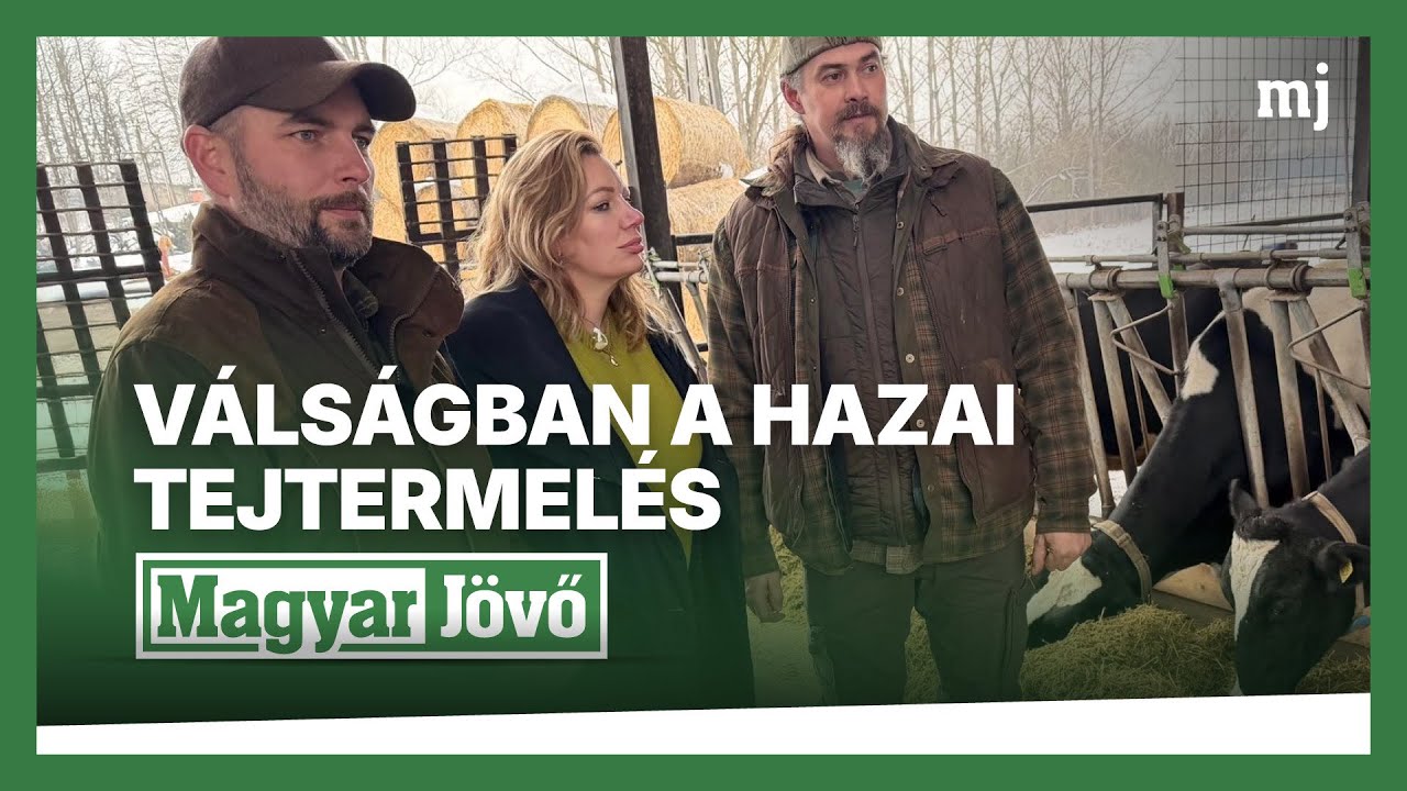 Ismét válságban a magyar tejtermelés: a szátoki gazdák is a túlélésért küzdenek
