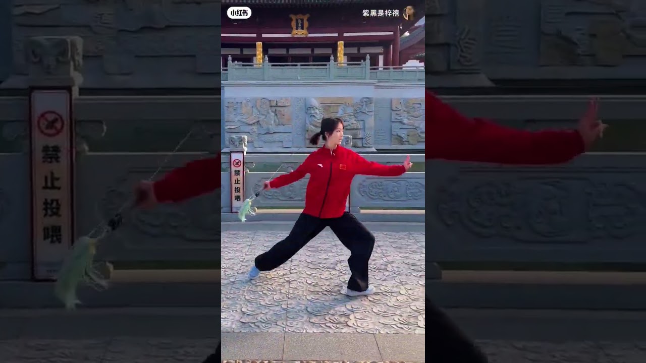 #kungfu #chenstyletaiji #chenstyletaiji #taichi #wushufight #taijiquan #taijijian