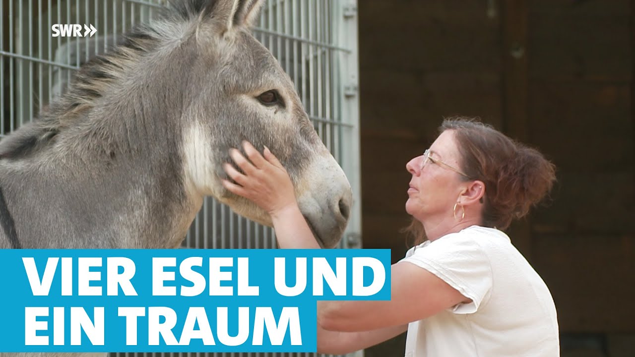 Esel machen glücklich ♥