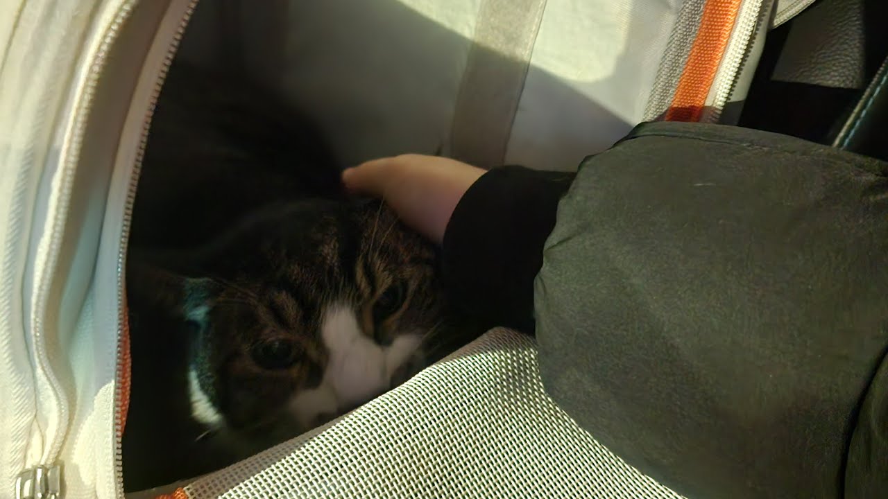 고니 병원 다녀와서 하는 짧은 수다라방