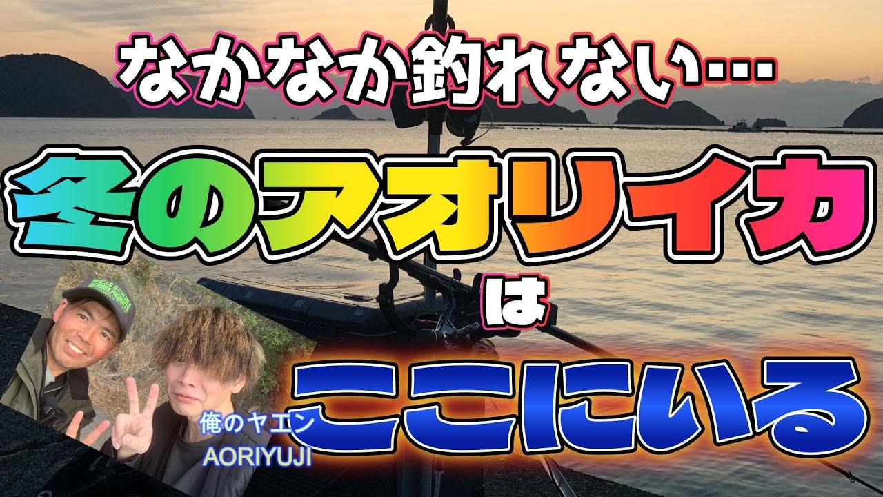 【ヤエン】冬のアオリイカはここにいる【AORUYUJI参上】