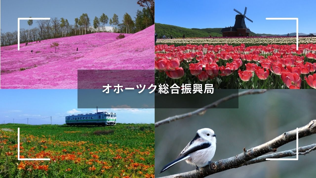 【オホーツク総合振興局商工労働課】～北海道観光情報交換会～注目トピックスをご紹介！！【2026年1月度】