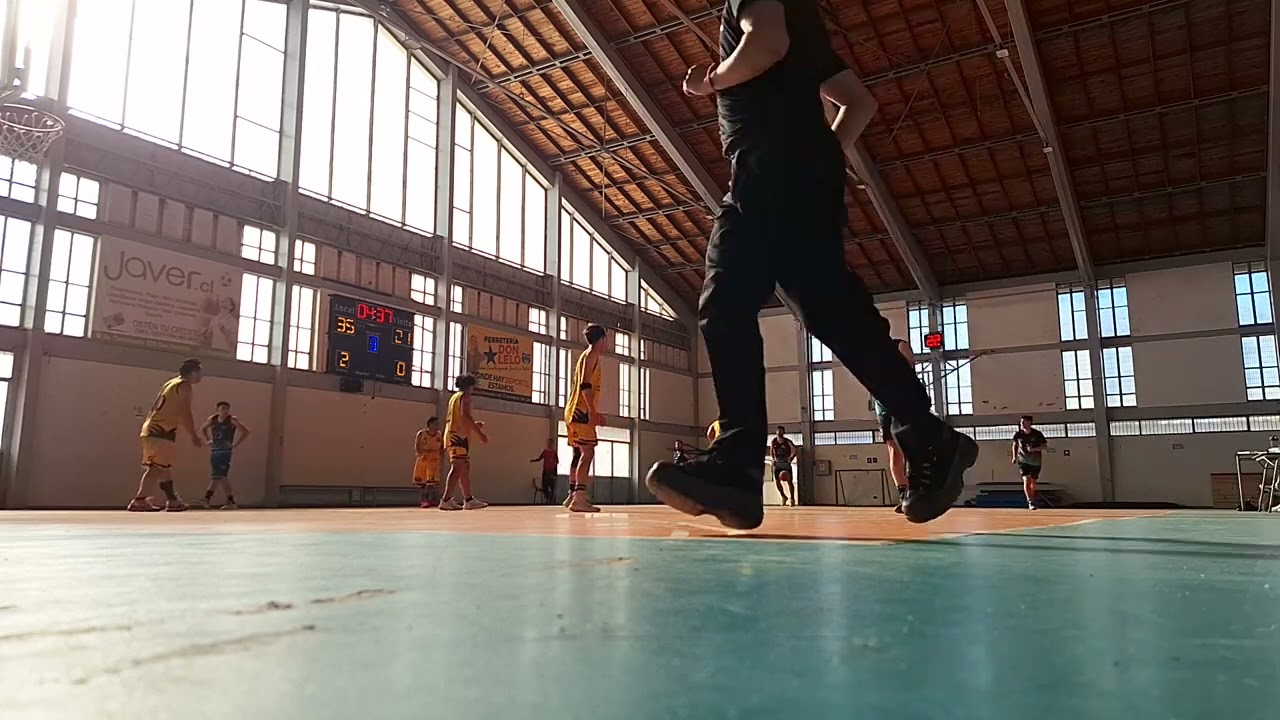 Costa vs c. Rey adulto