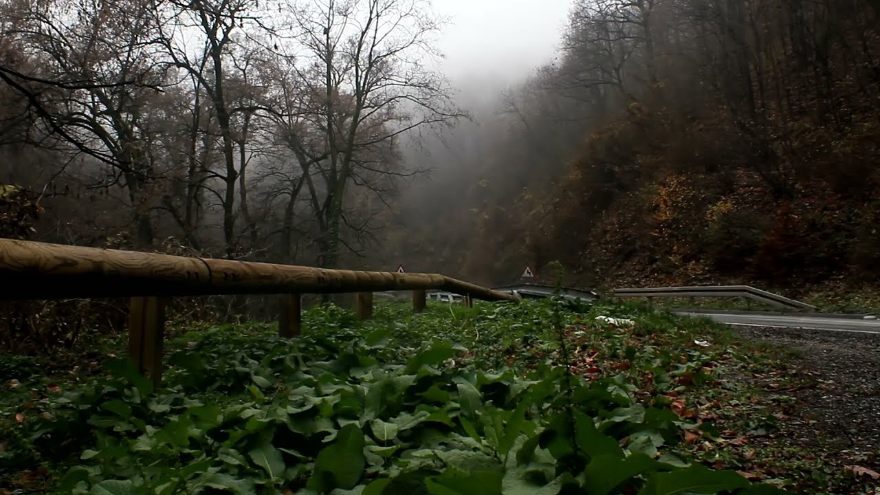 Foggy road timelapse | High speed car driving | No Sound Video | Silent Entertainment