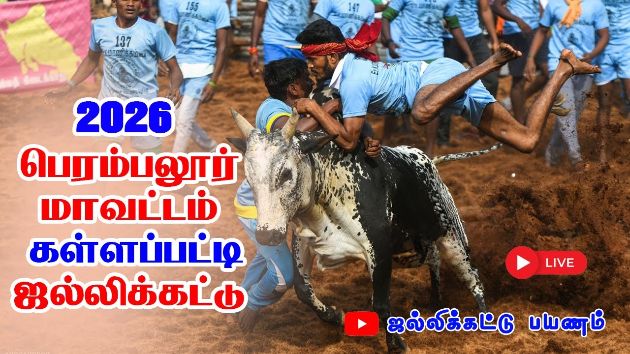 🔴 Live |பெரம்பலூர் மாவட்டம் கள்ளப்பட்டி மாபெரும் ஜல்லிக்கட்டு