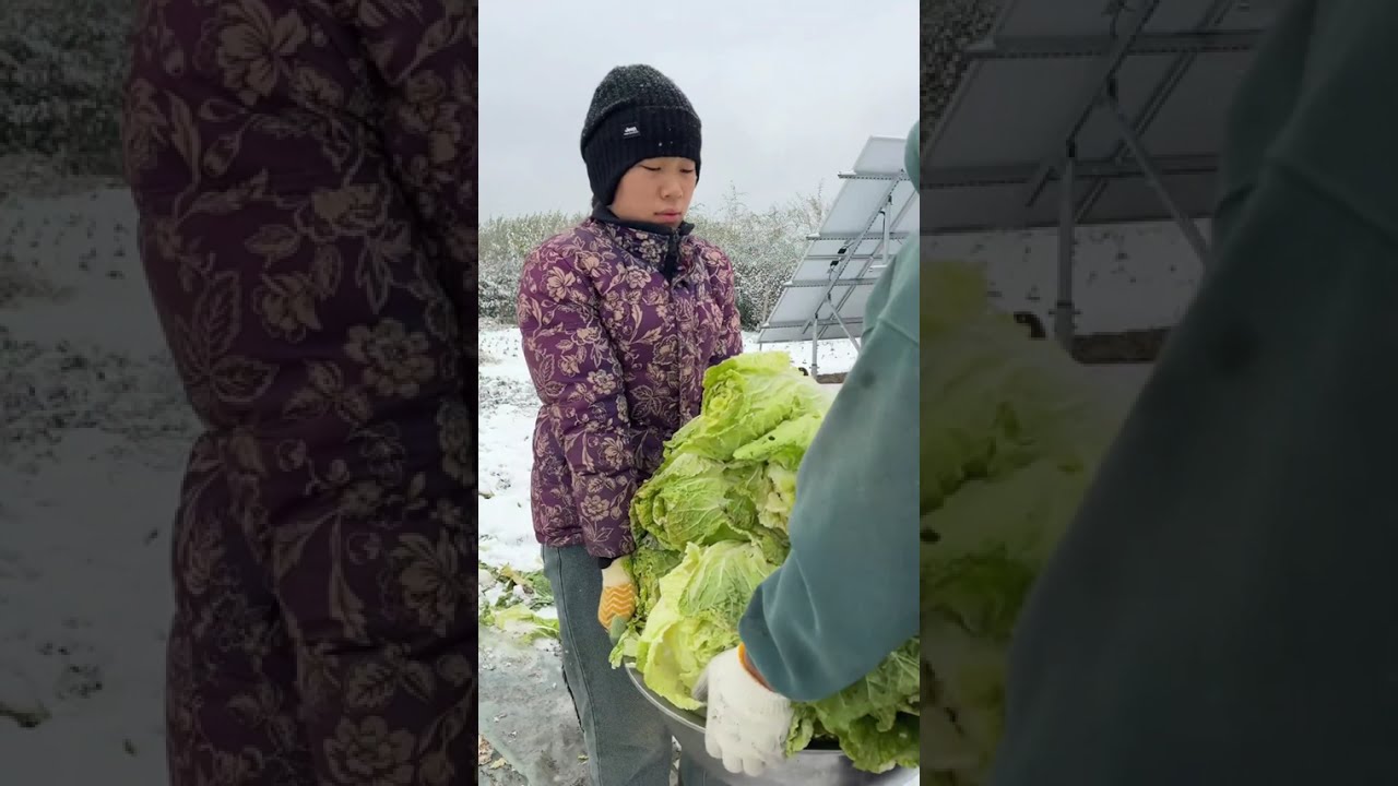 Bí mật lu dưa cải 