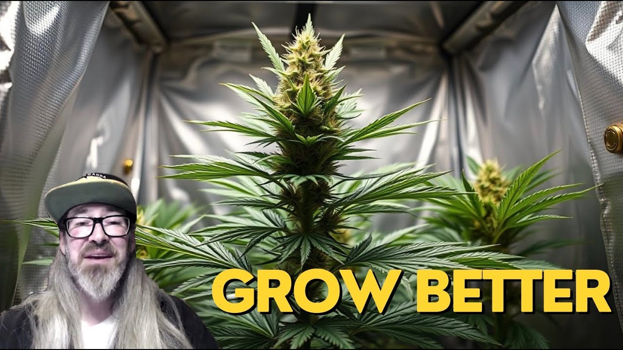 Why Keeping a CANNABIS Grow Journal is a KEY to Success w/ Chad Westport