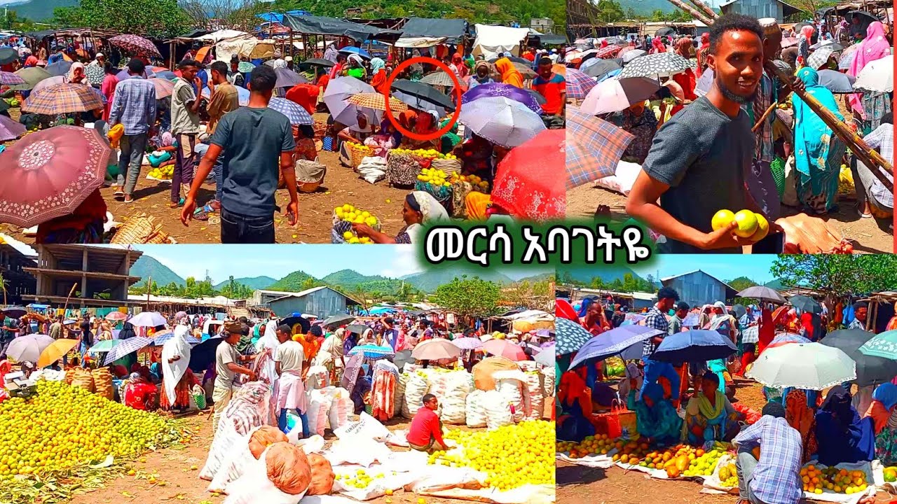 መርሳ አባገትዬ፤የነሸግዬ ሀገር፤ኑ ብርቱካን እንብላ አቦ